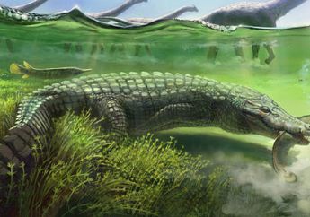 Titanochampsa iorii, Buaya Raksasa yang Hidup Bersama Dinosaurus