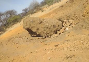 Elaliite and Elkinstantonite, Dua Mineral Baru di Meteorit El Ali