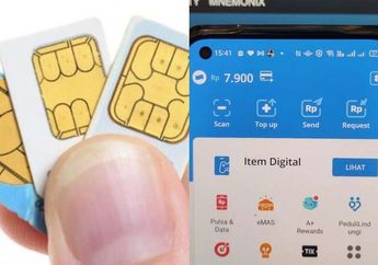 Jangan Sampai Saldo Lenyap Begitu Saja! Begini Cara Mengembalikan Akun DANA Jika Nomor Hilang atau Expired