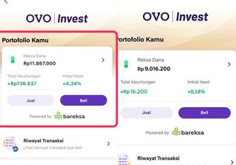 5 Cara Untuk Investasi di OVO Invest Bagi Pemula