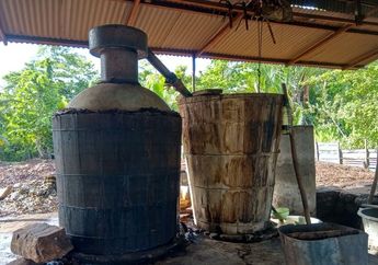 Ingin Berburu Minyak Kayu Putih Khas Pulau Buru, Begini Cara Pergi ke Sana