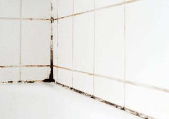 Tanpa Karbol, Cara Cepat Membersihkan Kerak pada Keramik Kamar Mandi, Ternyata Bisa Pakai Cuka