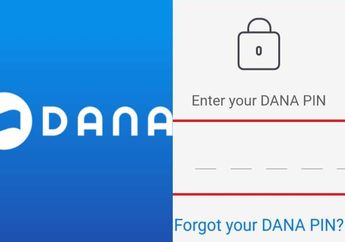 Jangan Panik Dulu! Segera Lakukan Ini Jika Sudah 3 Kali Salah Memasukkan PIN DANA Agar Akun Tak Dibekukan