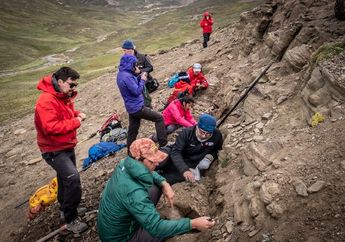 Ahli Paleontologi Menemukan Fosil Theropoda Pertama di Patagonia Chili