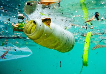 Ilmuwan Mengubah Sampah Plastik di Laut Menjadi Bahan Industri Obat