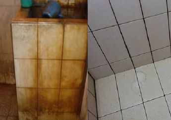 Cara Merontokkan Kerak di Bak Kamar Mandi TANPA Dikuras, Cukup Pakai Satu Bahan Dapur
