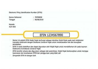 Sebentar Lagi Batas Lapor SPT Tapi Lupa EFIN? Ini Cara Dapatkan EFIN Secara Online