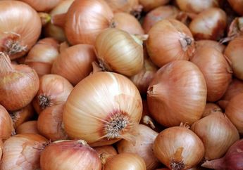 Mubazir Kalau Busuk, Cara Menyimpan Bawang Bombay Ini Wajib Dicoba, Awet hingga Berbulan-bulan
