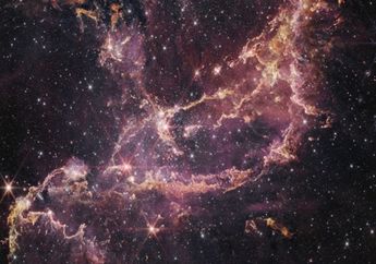 Mengungkap Isi Galaksi Kerdil Awan Magellan Kecil dengan James Webb