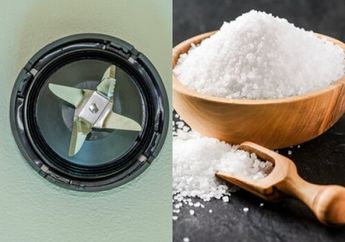 Trik Jitu Menajamkan Pisau Blender yang Sudah Tumpul, Modalnya Pakai Garam Agar Jadi Setajam Silet