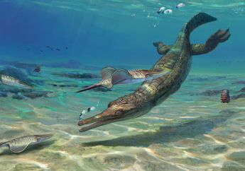 Turnersuchus hingleyae, Spesies Baru Buaya Laut dari Zaman Jurasic