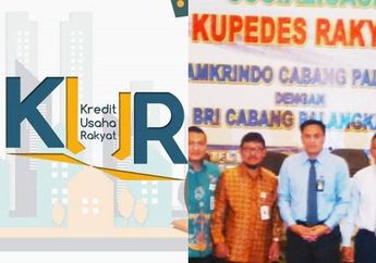 Banyak Masyarakat yang Masih Salah, Ini Dia Perbedaan KUR dan Kupra