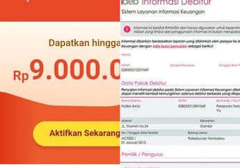 Ternyata Begini Cara Agar Shopee Pinjam Tak Pengaruhi Skor BI Checking Anda