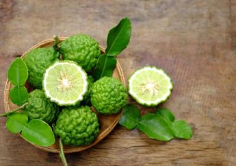 Tips Simpan Daun Jeruk Purut Segar dari Pasar, Gak Akan Gampang Mengering Kalau Disimpan Di Tempat Ini