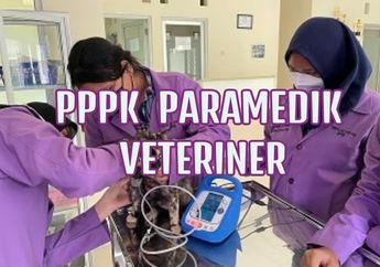 Bank Soal PPPK 2022, Ini Contoh Soal P3K Tenaga Teknis untuk Jabatan Paramedik Veteriner, Lengkap dengan Kunci Jawaban