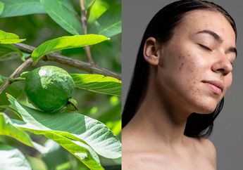 Modalnya Cuma Daun Jambu Biji, Bisa Hilangkan Flek Hitam di Wajah, Begini Cara Pakaianya