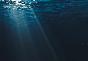 Tanpa Sinar Matahari, Bagaimana Mikrob di Laut Terdalam Bertahan Hidup