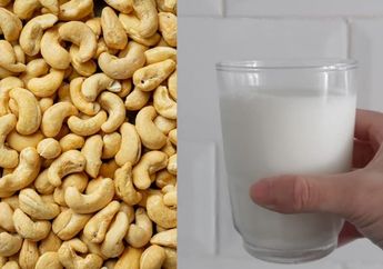 Jangan Cuma Digoreng, Sesekali Coba Makan Kacang Mete Direndam dalam Susu, Khasiatnya Luar Biasa Buat Kesehatan