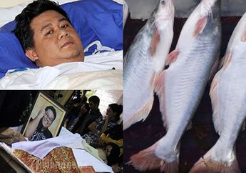 Belajar dari Ade Namnung yang Meninggal Karena Stroke di Usia Muda, Makan Ikan Murah di Pasar Ini Dua Kali Seminggu Bisa Cegah Penyakit Mematikan Ini