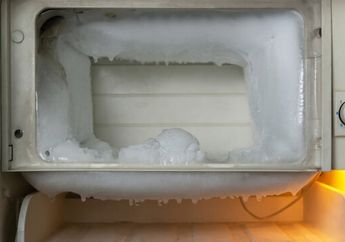 Belum 24 Jam Udah Muncul Lagi, Penyebab Bunga Es di Freezer Ternyata Gegara Taurh Makanan Ini, Ibu-ibu Jangan Lakukan Lagi
