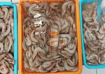 Ternyata Begini Cara Menyimpan Udang di Kulkas Agar Awet, Moms Wajib Baca