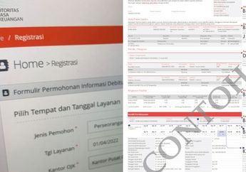 Ibu Ini Ngamuk Tak Pernah Pinjam Pinjol Legal Tapi Skor BI Checkingnya Anjlok