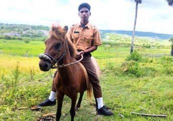 Motor Mogok, Pelajar SMA Ini Berangkat ke Sekolah Tunggangi Kuda Balap!