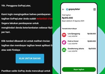 Pengalaman Galbay di Gopaylater Tagihan Rp 2 - 3 Juta Tak Didatangi Debt Collector? Berikut Faktanya