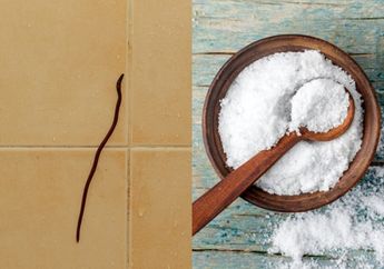 Rugi Kalau Telat Tahu! Cara Membasmi Cacing di Kamar Mandi Cukup Modal Garam dan Air, Cek Caranya