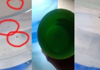 Shock Berat Galon Jadi Sarang Nyamuk, Jangan Beli Air Isi Ulang Kalau Tempatnya Seperti ini