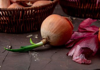Selama Ini Bingung, Apakah Bawang Bombay Bertunas Aman Dimakan? Begini Penjelasannya