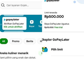 Pasca Telat Bayar, Berapa Lama Limit Gopaylater Cicil Bisa Digunakan Lagi?