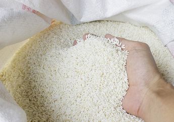 Punya Stok Banyak Gak Khawatir, Beras di Rumah Bakal Bebas Kutu dan Bau Tengik Berbulan-bulan Kalau Disimpan dengan 2 Butir Bumbu Dapur Ini