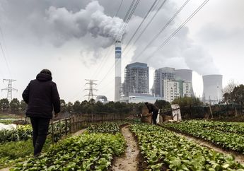 10 Gigaton Karbon Dioksida Perlu Ditarik dari Atmosfer Bumi Tiap Tahun