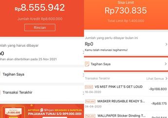 Pengalaman Telat Bayar Shopee Paylater Rp 300.000, Bikin Pengajuan Pinjaman Debitur Ini Ke Bank Ditolak