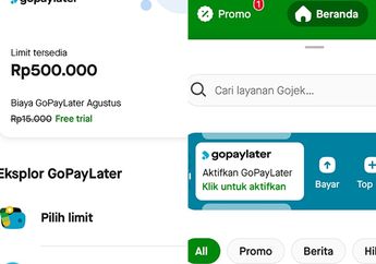 Pengalaman Penipuan Gopaylater di Tokopedia, Dapat Paket Fiktif Tapi Limit Digasak Hingga Rp 4 Juta