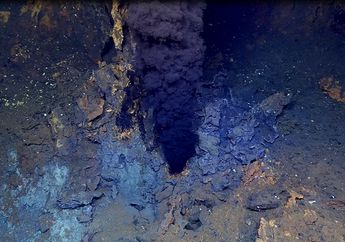 Ilmuwan Temukan Kehidupan Unik dalam Asap Gunung Berapi Bawah Laut