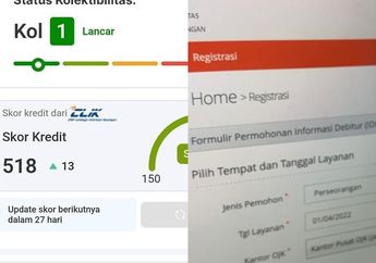 Pengalaman BI Checking Masuk Kol 5 Tetapi Tetep Bisa Pinjam di Bank, Begini Tipsnya
