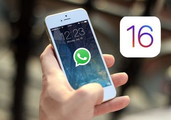 WhatsApp untuk iOS 16 Boyong Fitur Pendeteksi Teks, Ini Tampilannya!
