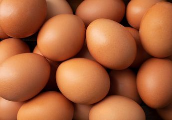 Trik Gampang Cek Telur Segar atau Busuk, Buat Stok Menu Sahur dan Buka Puasa, Cek dengan 3 Cara Ini