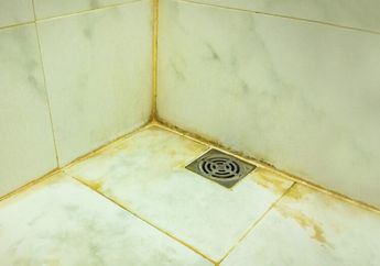 Alhamdulillah Ketemu, Noda Kuning di Keramik Kamar Mandi Ternyata Bisa Dihilangkan Pakai Lemon dan 2 Bahan Ini