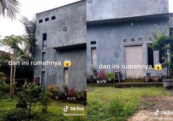 Unik Banget! Viral Video Rumah Satu Lantai Setinggi Pohon Kelapa