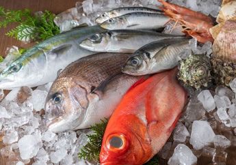 Hati-hati Ditipu Penjual! Ini Ciri Ikan Mengandung Formalin yang Tak Sadar Sering Dibeli Banyak Orang, Bahaya Kalau Sampai Sering Termakan