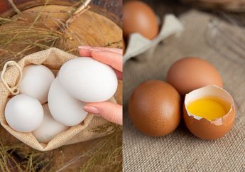 Apakah Telur Coklat Lebih Baik Daripada Telur Putih? Begini Jawabannya Agar Ibu-ibu Tidak Bingung Lagi