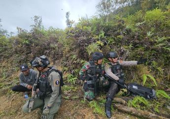 Egianus Kogoya Makin Terpuruk di Persembunyian, TNI Polri Sukses Kuasai Markas KKB Papua Berisi Ribuan Amunisi dan Senjata Mematikan