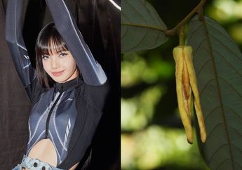 Lisa BLACKPINK Jadi Nama Bunga Langka Penemuan Baru di Thailand!
