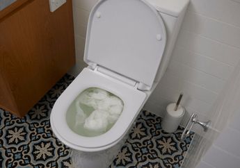 Plis Jangan Panggil Tukang Dulu, 3 Cara Mudah Mengatasi Toilet Mampet Ini Bisa Dicoba, Enggak Perlu Keluar Duit Ekstra