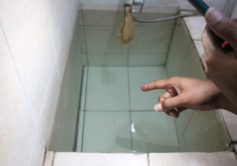 Tak Perlu Abate, Cara Ampuh Basmi Jentik Nyamuk di Kamar Mandi Cuma Butuh Tuangkan Minyak Ini Saja, Dijamin Lenyap