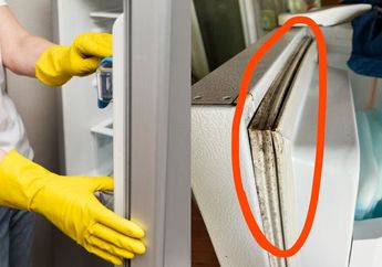 Belasan Tahun Masih Lengket, Cara Bersihkan Karet Kulkas Supaya Tetap Lengket Bisa Pakai 3 Trik Mudah Ini, Gak Perlu Panggil Jasa Pembersih