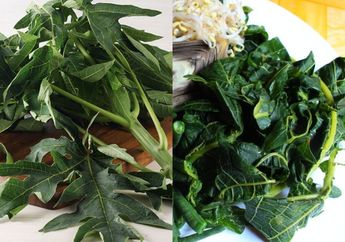 Pecinta Daun Pepaya Pasti Senang, Sekarang Tak Perlu Takut Terasa Pahit Kalau Sebelumnya Direndam dengan 1 Bahan Dapur ini